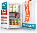 Mini-Gefrierschrank Stillstern, Fassungsvermögen 42L, 18°C, 4-Sterne Tiefkühlschrank für Camping, Eiswürfelschale, Schloss, Türanschlag wechselbar
