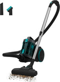 Cecotec Bodenstaubsauger, beutelloser Conga Rockstar Cyclonic XL. 890W, Fassungsvermögen 2,5L Großbehälter, Hochleistungsfilter, in Schwarz